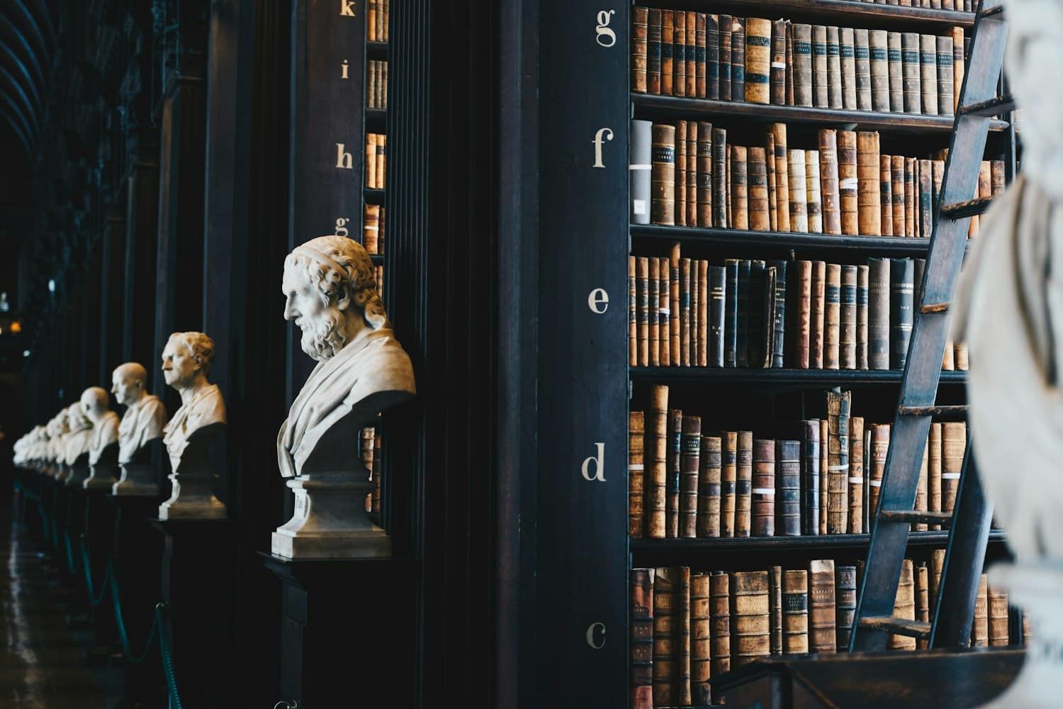 Rows of bound law volumes in a reading room